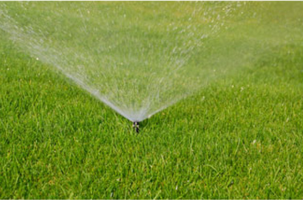 sprinkler-lawn